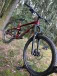 TREK remedy 7 2021