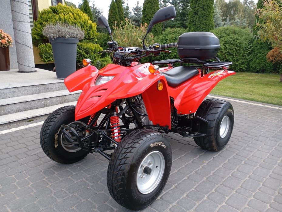 Quad ADLY 300 Sport  Thunder Bike Manual Wsteczny Homologacja L7e