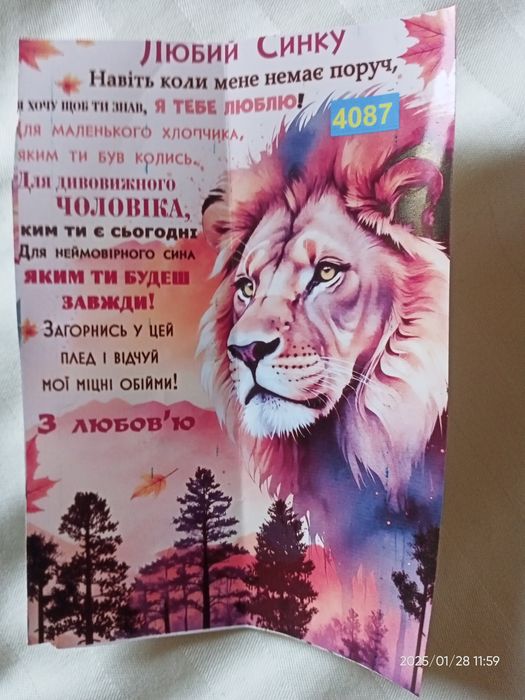 Ковдра для сина зі львом