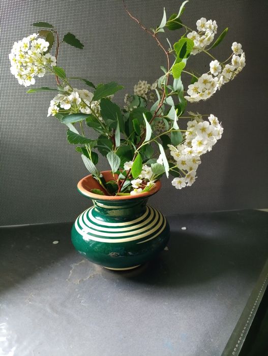 Українська вінтажна колекційна майоліка: глечики, кухлики, вазочки,