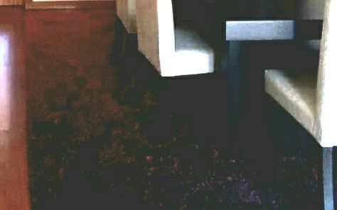 Tapete de pelo comprimido multicolor