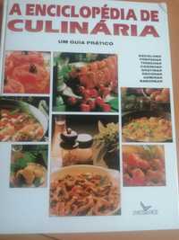 Livro de culinária enciclopédia da culinária