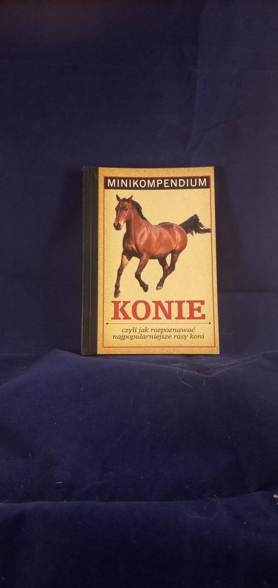 Książka Konie (Minikompedium)