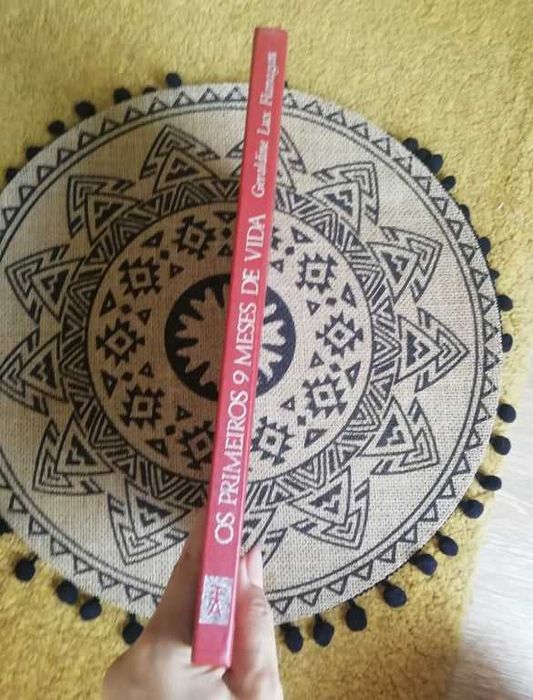 Livro 'Os primeiros 9 meses de vida'- Geraldine Lux Flanagan