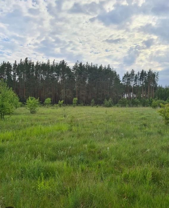 Продам земельну ділянку 2.8449 ОСГ Бородянка