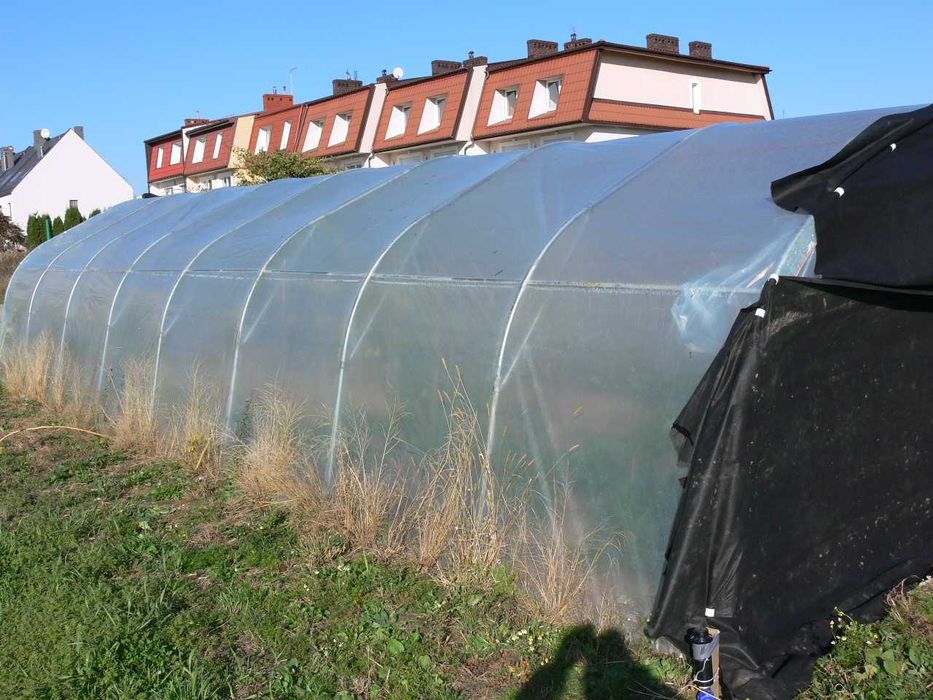 tunel foliowy profesjonalny szklarnia namiot 10 x 5 x 3 z folią