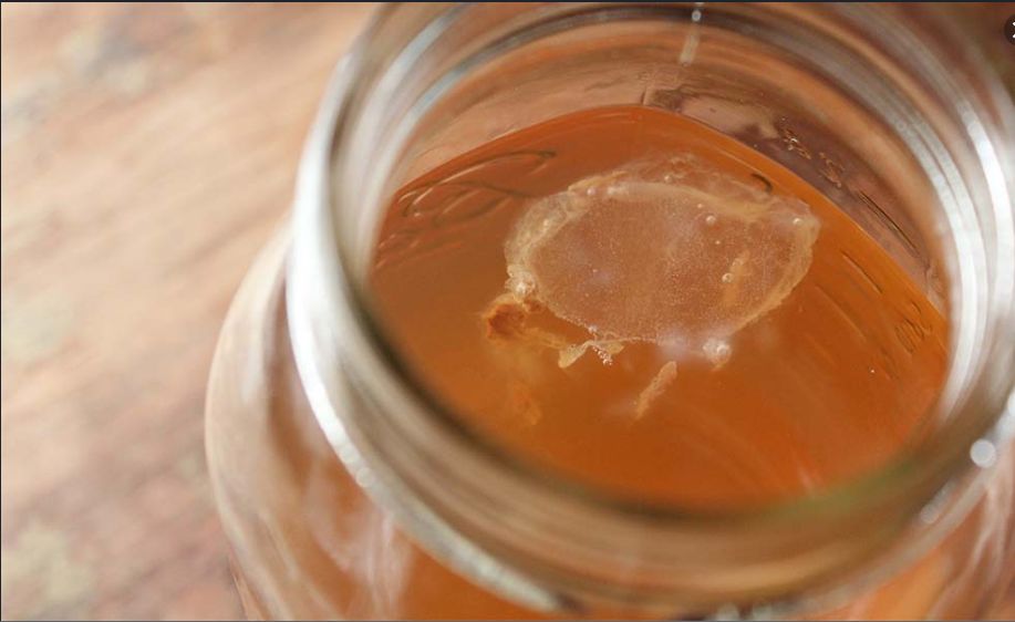 Kombucza (Kombucha) - Cudowny japoński grzybek herbaciany