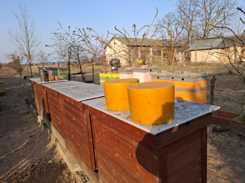 Wosk pszczeli miód