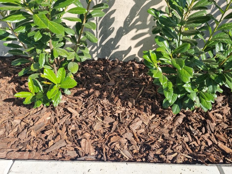 Kora ogrodowa, worki 80 l