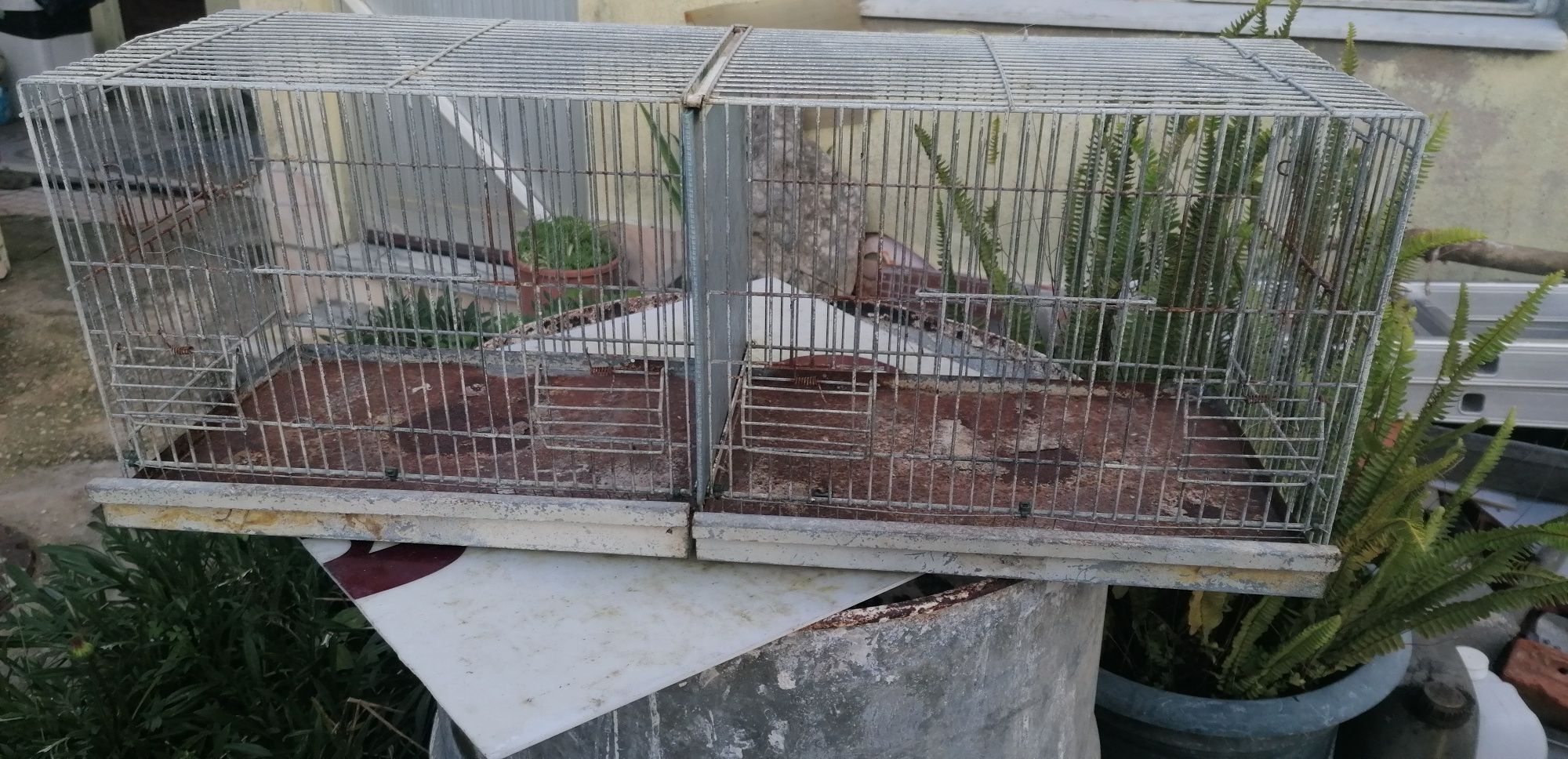 Gaiolas chapa e galvamizadas