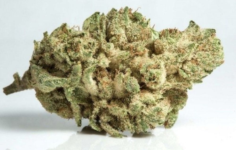 Susz konopny cbd, Łomża dowóz Konopie indyjskie marihuana 16-49%