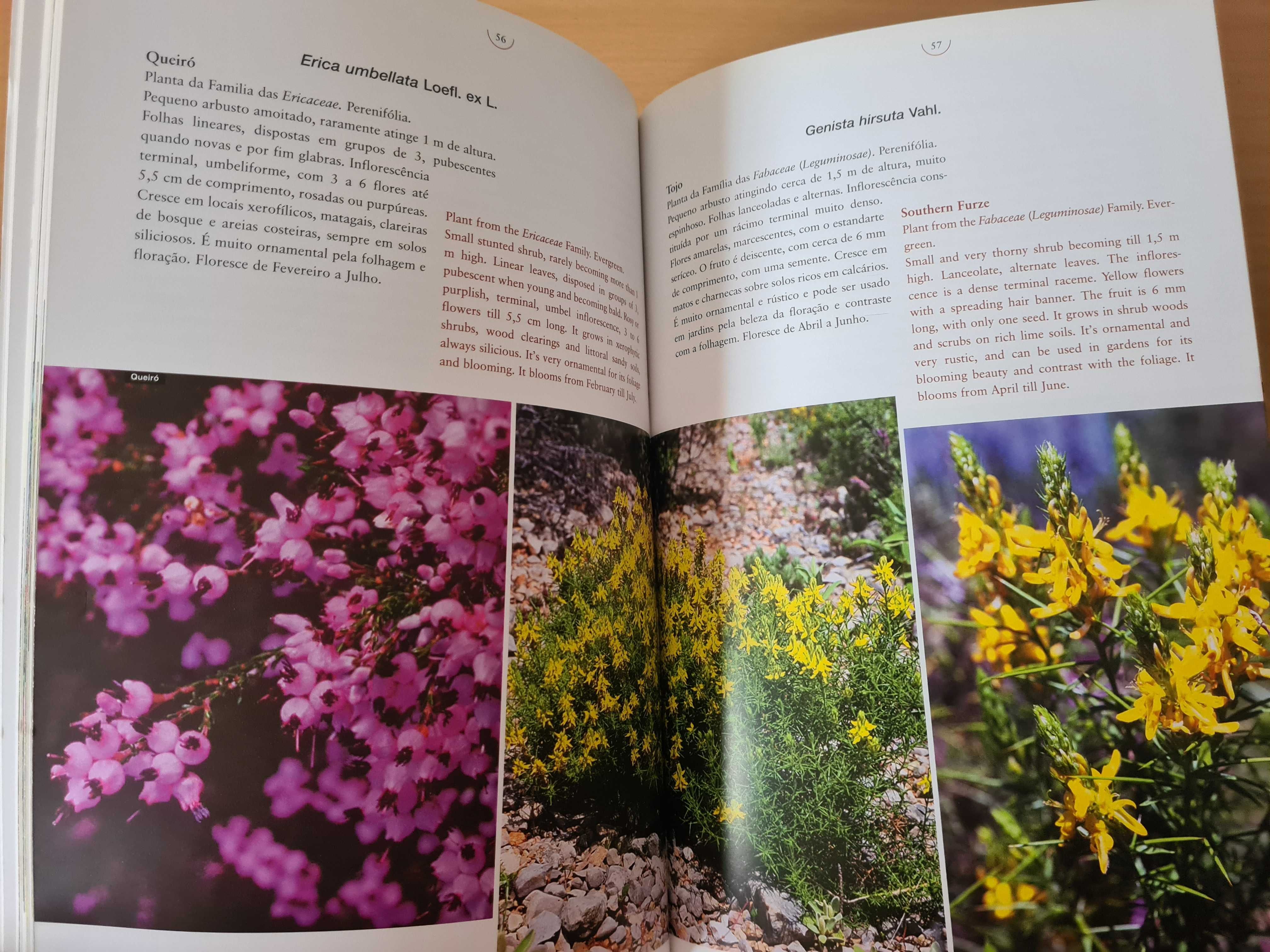 Livro "Plantas do Algarve"
