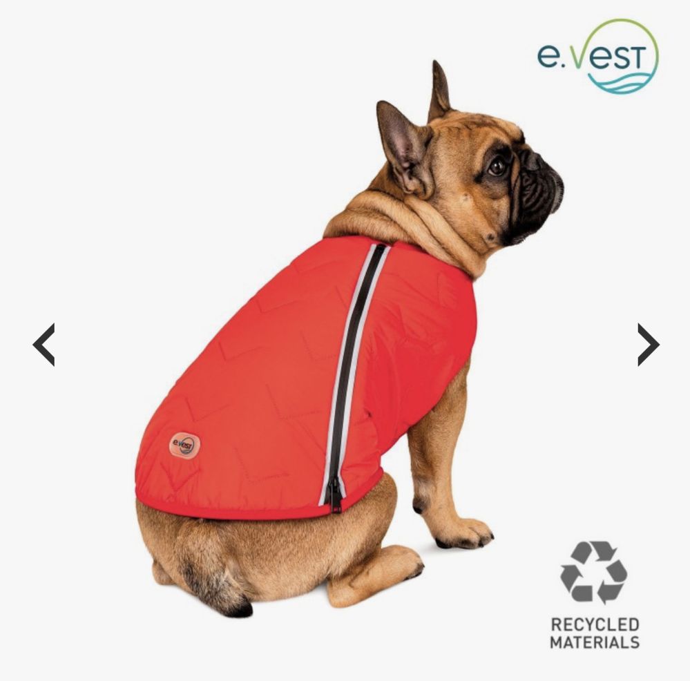 Жилет E.Vest для мопса или французского бульдога