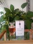 Yves Rocher Voile D' Ambre 30 ml. perfumy perfum