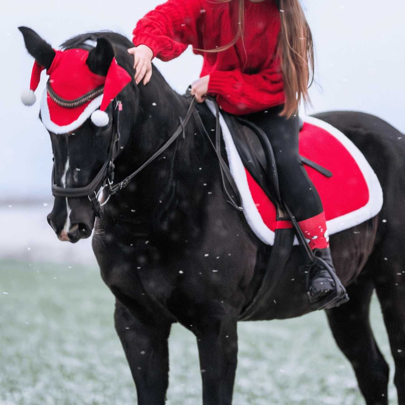Zestaw York świąteczny czaprak nauszniki Renifer owijki Pony