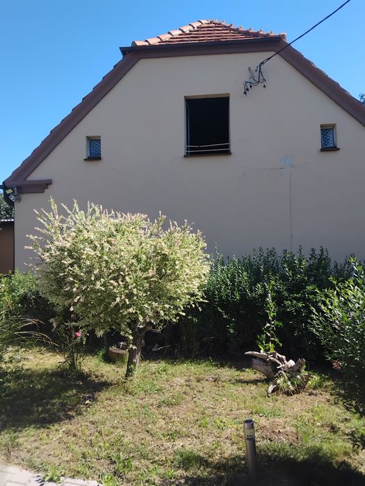 Sprzedam dom + budynek gospodarczy