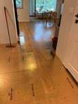 Laminowane Panele podłogowe Quick step wraz z  podkłady