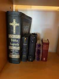 Diversas bíblias muito antigas