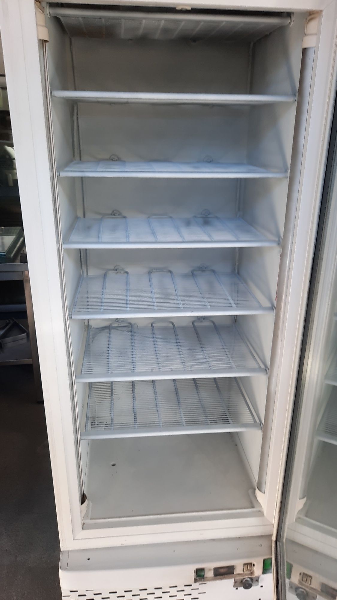 Vitrine Vertical de Congelação (compressor Novo)