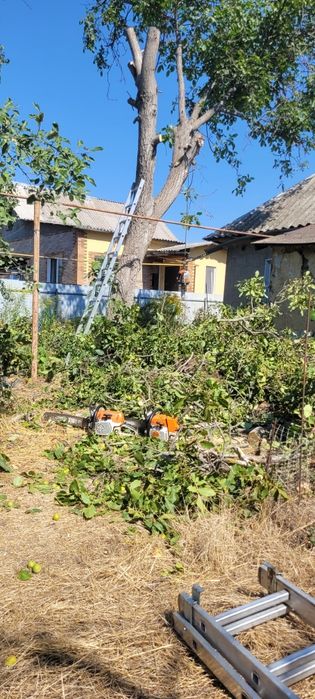 Спилювання дерев  покос трави передроблення гілок у щепу