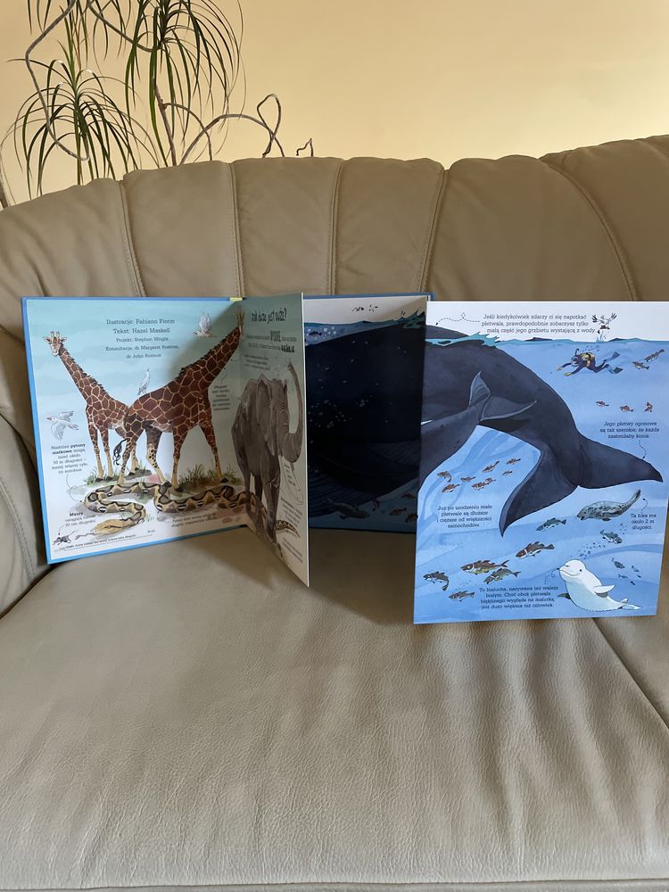Nowa książka księga wielkich zwierząt 4 duże rozkładane strony