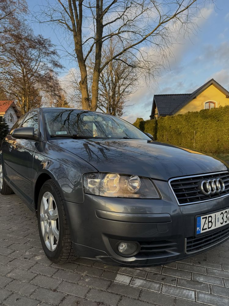 Audi A3 8P 2004r.