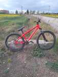 Kellys whip 10 (dirt)