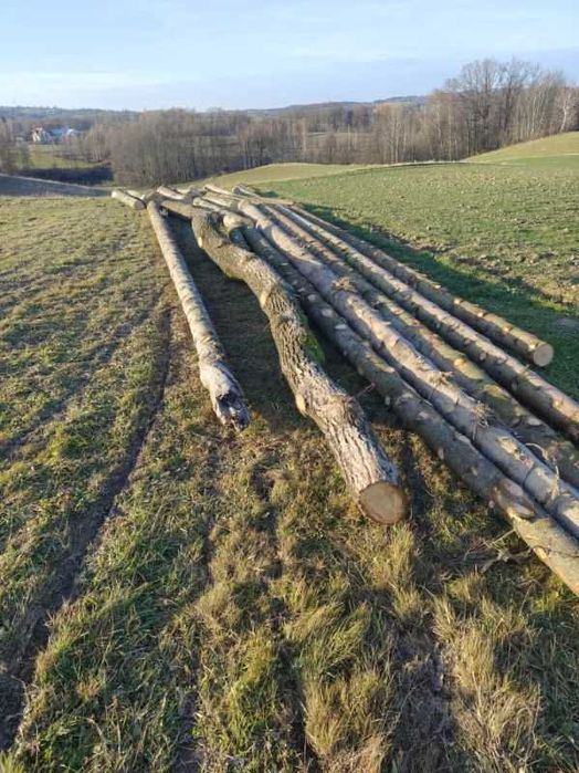 Sprzedam drewno tartaczne