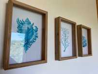 Quadros moldura em madeira     ( preço 3 quadros )