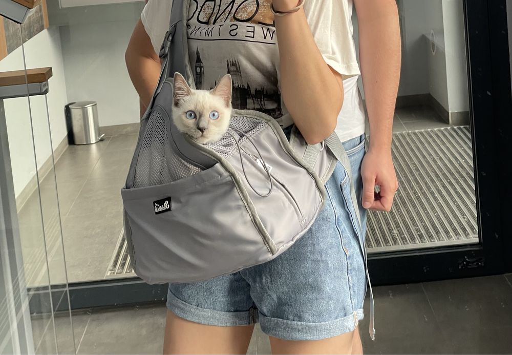 Nosidełko plecak na kota / małego psa