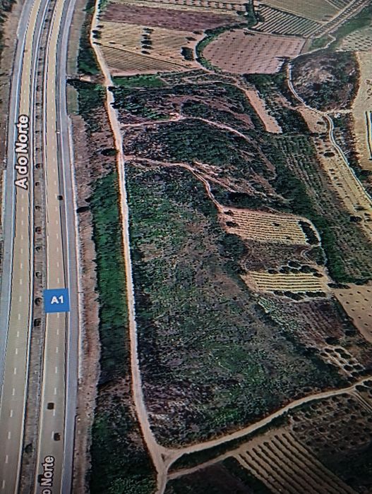 Terreno rústico - vinha Bairrada