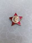 Значок октябрёнка