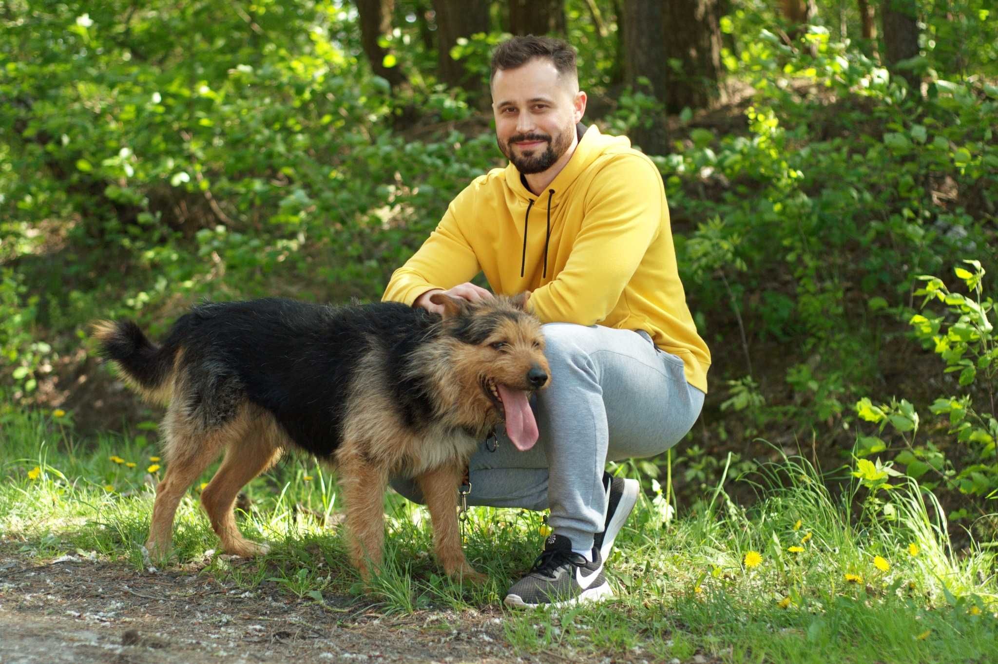 RIZAR - psiak w typie teriera bardzo polecany do adopcji