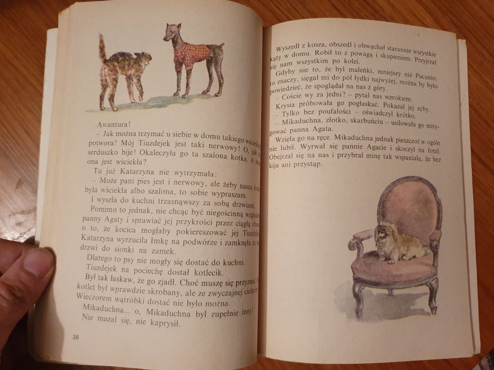 Puc, bursztyn i goście - Jan Grabowski