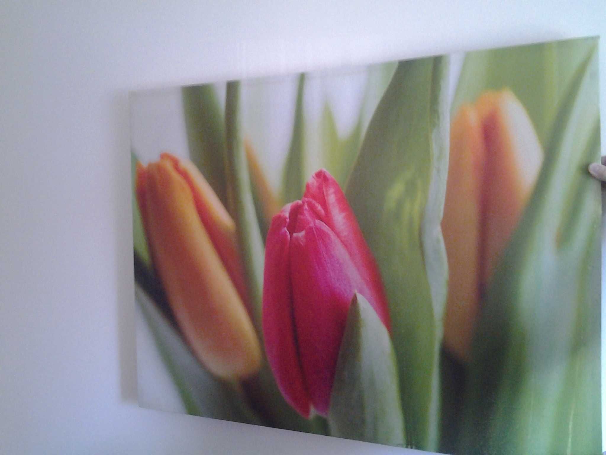 Obraz dekoracyjnyna płótnie tulipany.