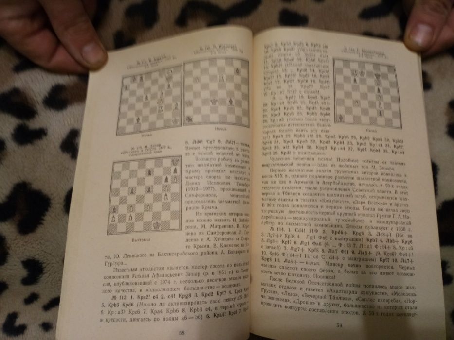 Современный шахматный этюд