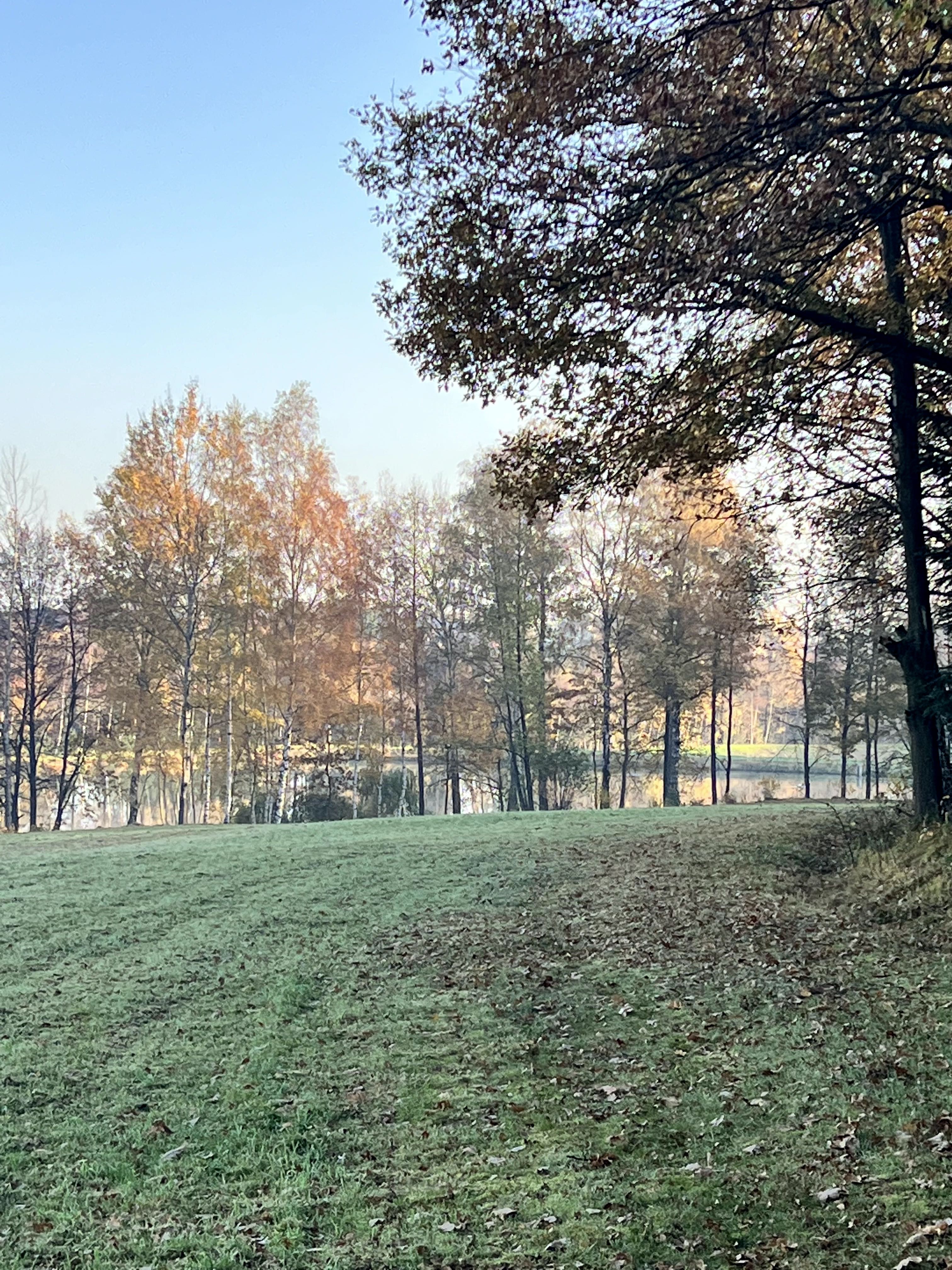 Dom w Kętach - Podlesiu (w lesie ,nad stawem)