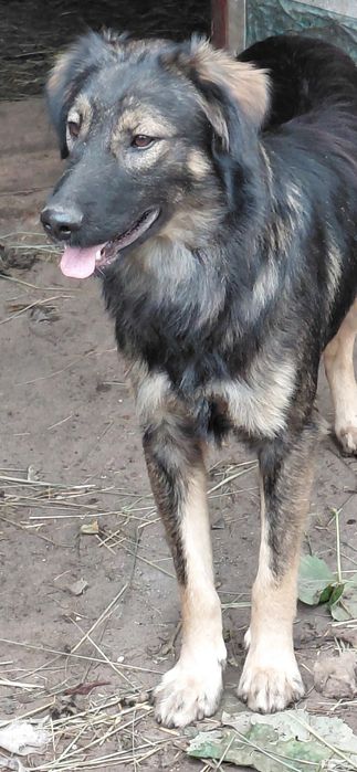 Красивий хлопчик у добрі ручки