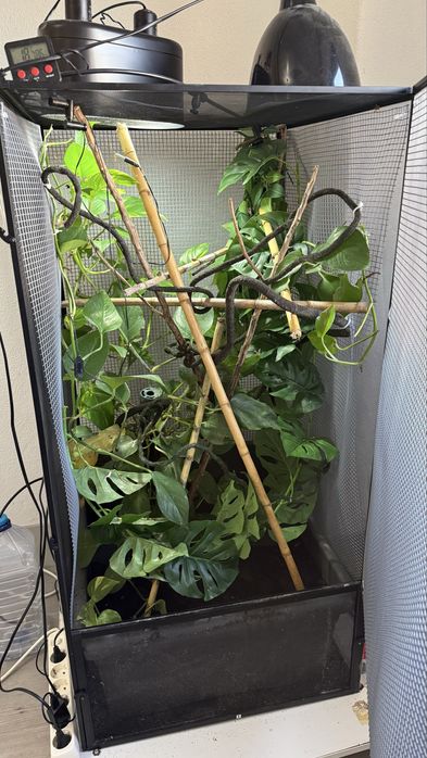 Terrário 1,22cm para camaleão com base com rodas