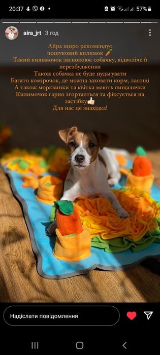 Нюхательный  коврик (поисковый)+мячик и 2 морковки для животных