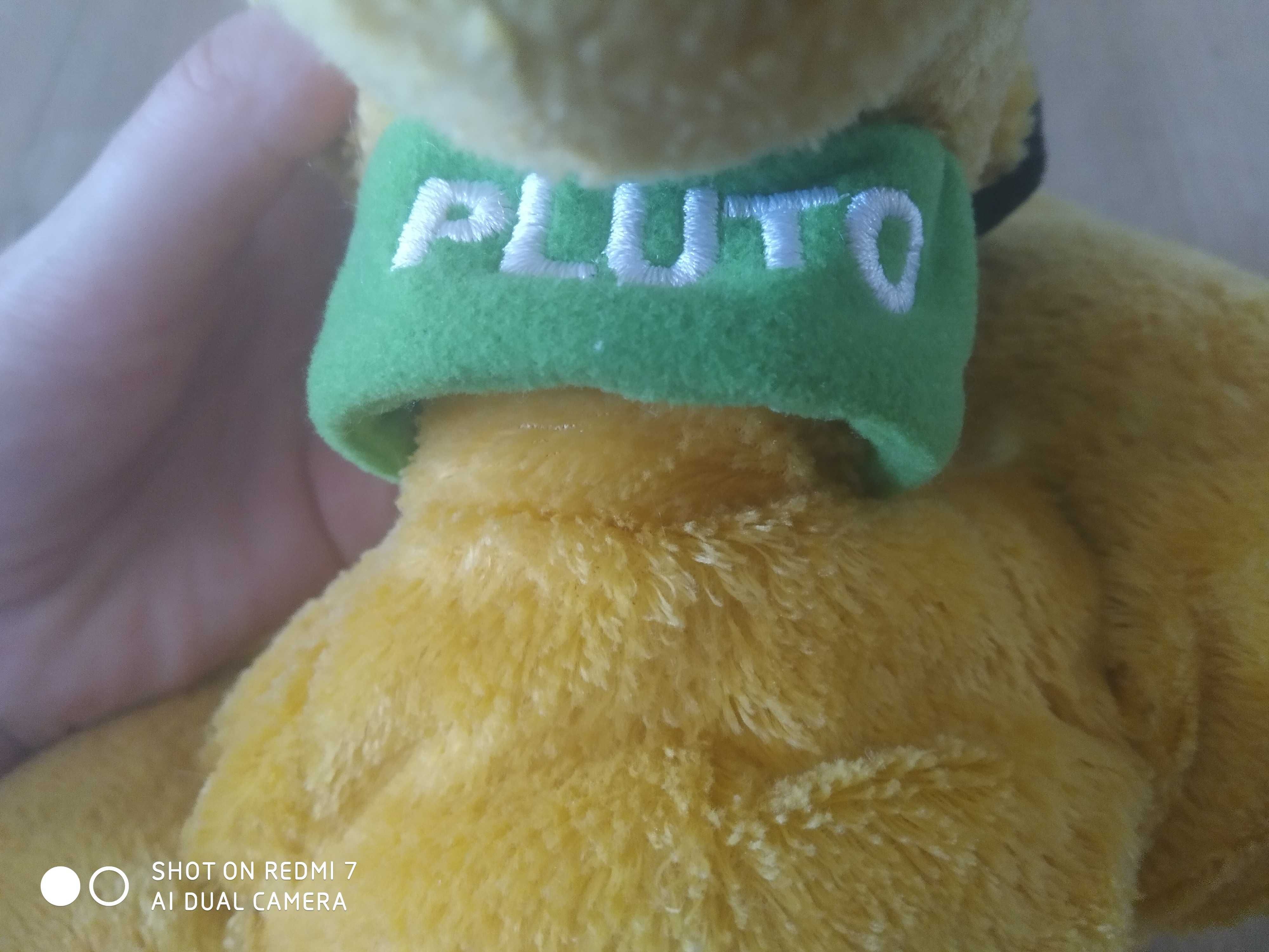 Maskotka psa Pluto