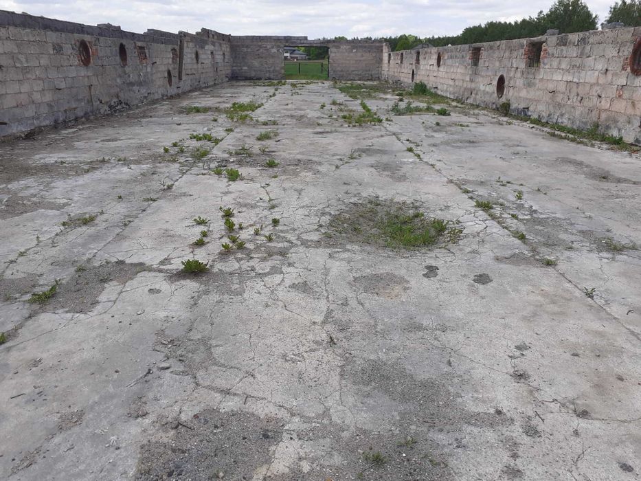 Wynajmę kurnik po spaleniu o pow. 1200m2
