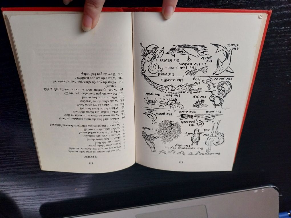 English First Book Berlitz