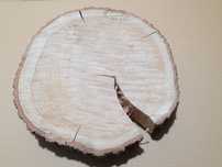 Plaster drewna z dębu