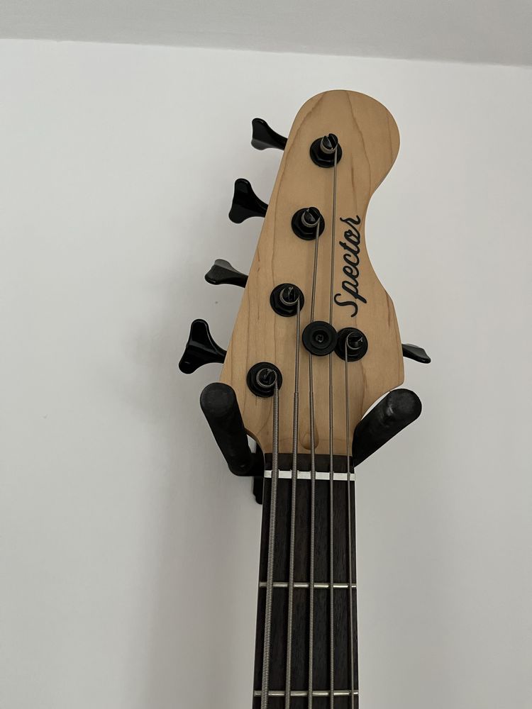 Spector coda pro 5