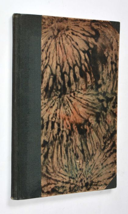 Kościuszko w świetle nowszych badań A.M. Skałkowski (1924)