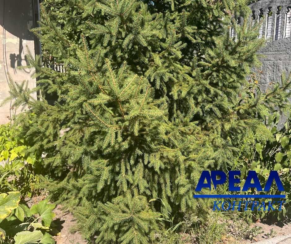 Продам будинок у центрі міста