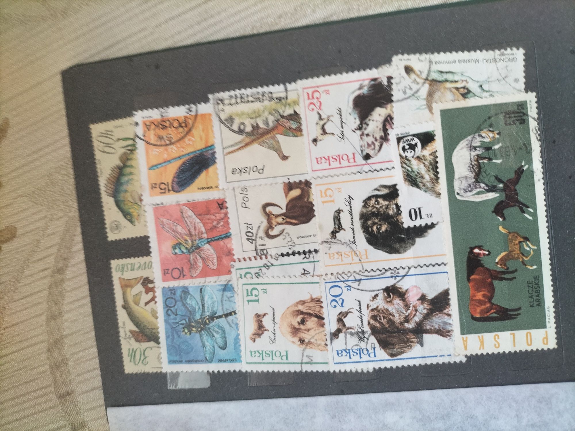 Filatelistyka znaczki