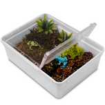 Terrario Reptiland White 25X19X7,5Cm - Białe Terrarium Faunarium
