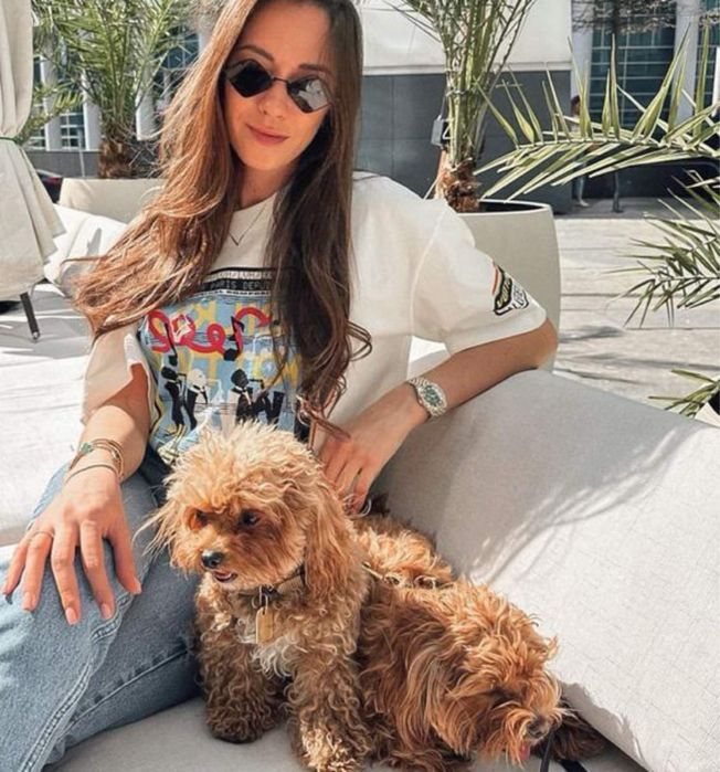 Мальтіпу для вас лагідні і здорові цуценята